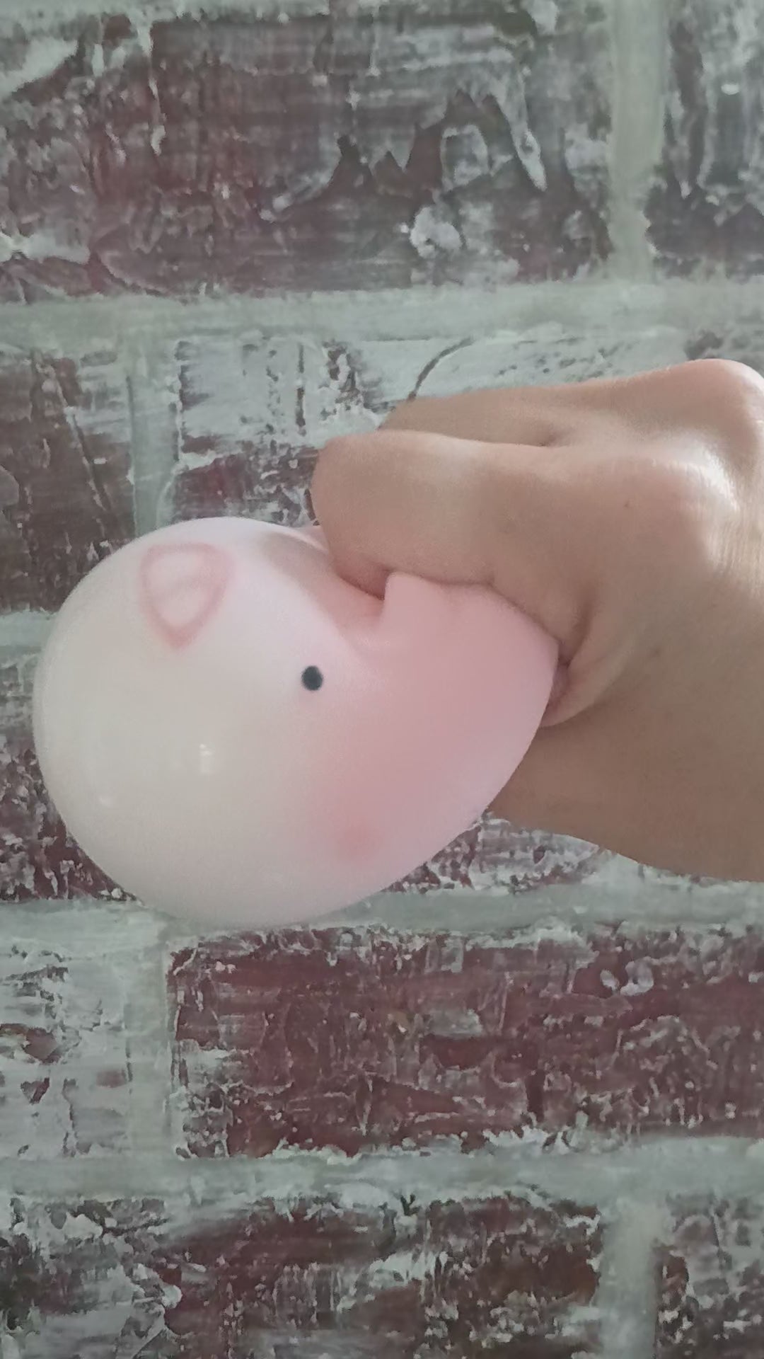 Foam Pig Squishy Ball